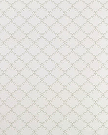 Papel Laise Verde e Bege