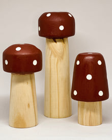 Kit Cogumelo Marsala