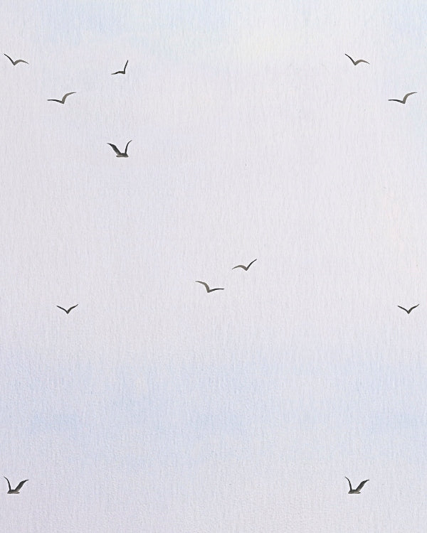 Painel Céu Gaivotas