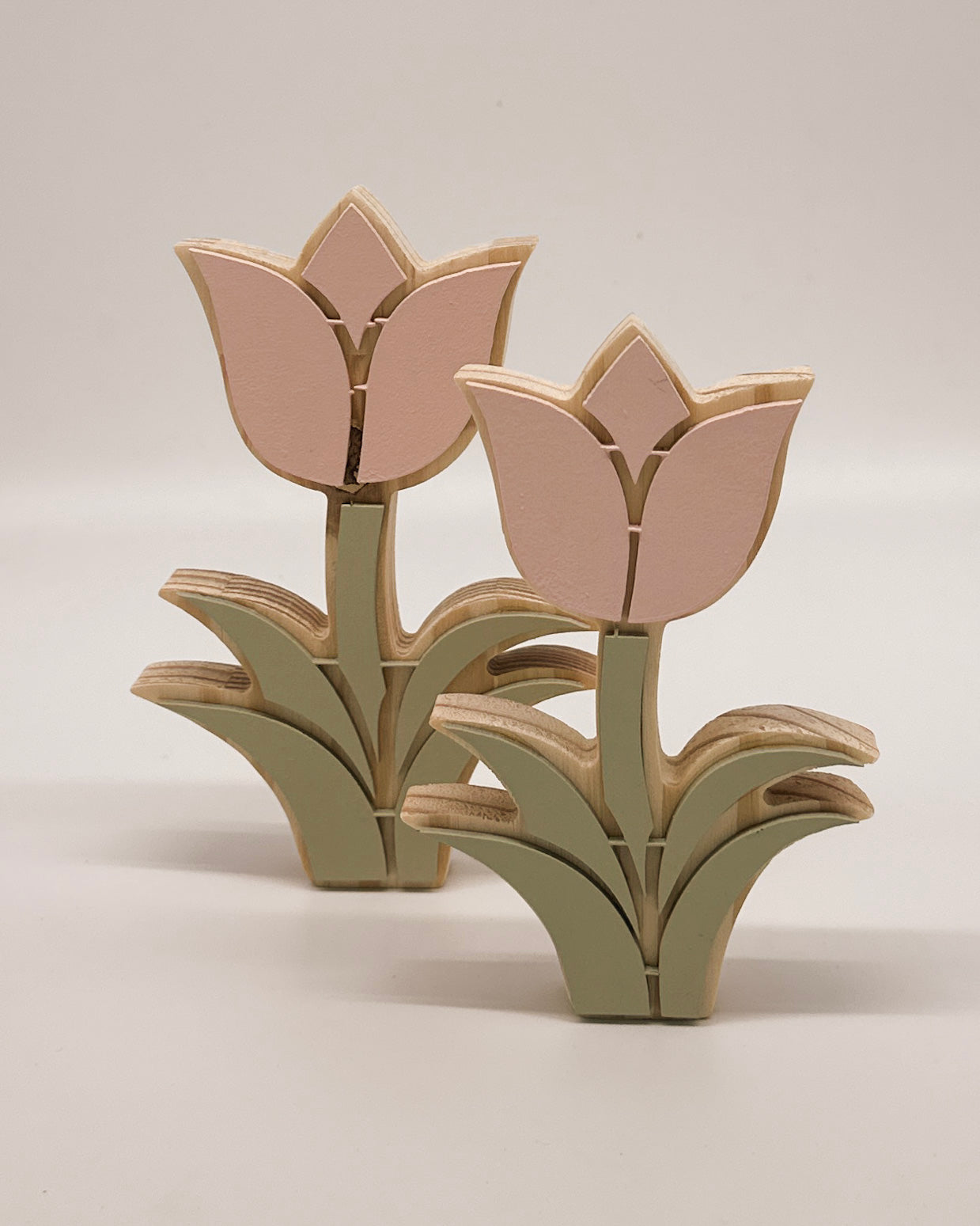Pink Tulip Pair
