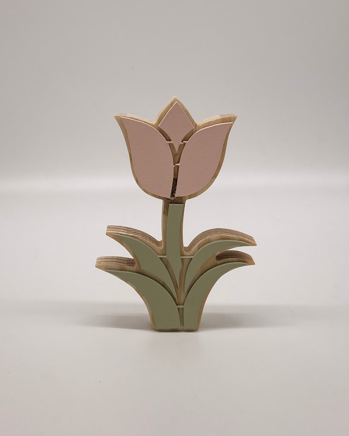 Pink Tulip Pair