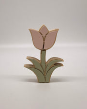 Pink Tulip Pair
