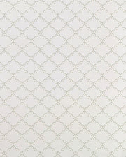 Papel Laise Verde e Bege