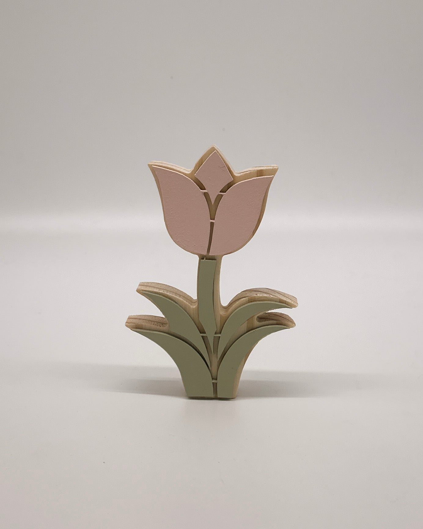 Pink Tulip Pair