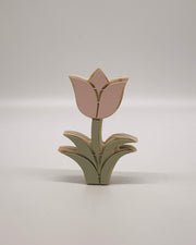 Pink Tulip Pair