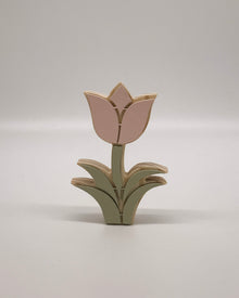 Dupla de Tulipas Rosa