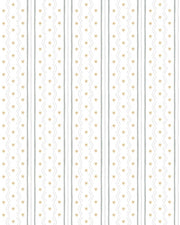Papel Zigue e Asteriscos Cinza