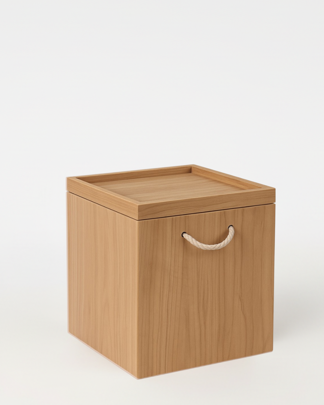 Trunk Side Table (2-in-1)
